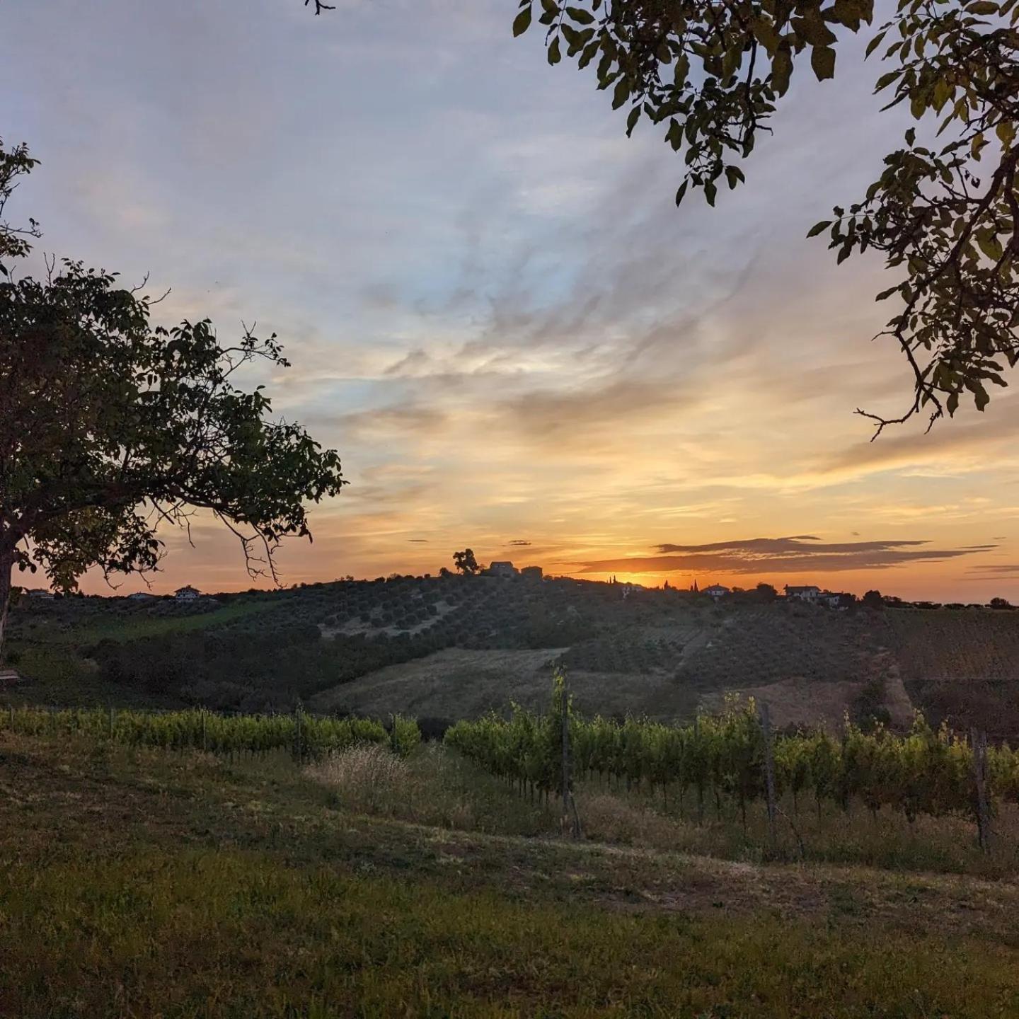 Villa La loggia Città Sant'Angelo Esterno foto
